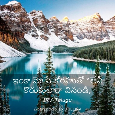 Picture 03 - సంఖ్యాకాండం 16:8 TELIRV - ఇంకా మోషే కోరహుతో - Bible Verse Picture