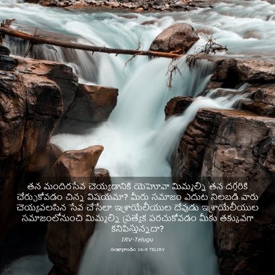 Picture 03 - సంఖ్యాకాండం 16:9 TELIRV - తన మందిరసేవ - Bible Verse Picture