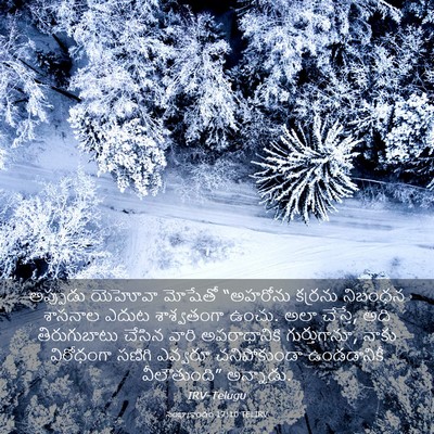 Picture 03 - సంఖ్యాకాండం 17:10 TELIRV - అప్పుడు యెహోవా - Bible Verse Picture