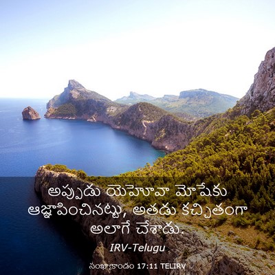 Picture 03 - సంఖ్యాకాండం 17:11 TELIRV - అప్పుడు యెహోవా - Bible Verse Picture