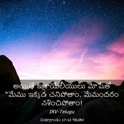 Picture 03 - సంఖ్యాకాండం 17:12 TELIRV - అయితే - Bible Verse Picture