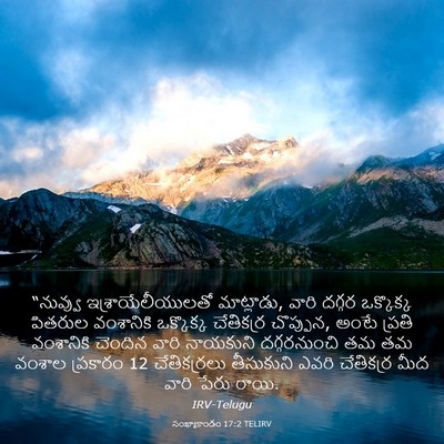 Picture 03 - సంఖ్యాకాండం 17:2 TELIRV - “నువ్వు - Bible Verse Picture