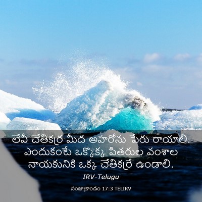 Picture 03 - సంఖ్యాకాండం 17:3 TELIRV - లేవీ చేతికర్ర మీద - Bible Verse Picture
