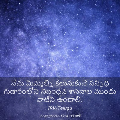 Picture 03 - సంఖ్యాకాండం 17:4 TELIRV - నేను మిమ్మల్ని - Bible Verse Picture