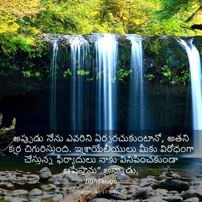 Picture 03 - సంఖ్యాకాండం 17:5 TELIRV - అప్పుడు నేను - Bible Verse Picture