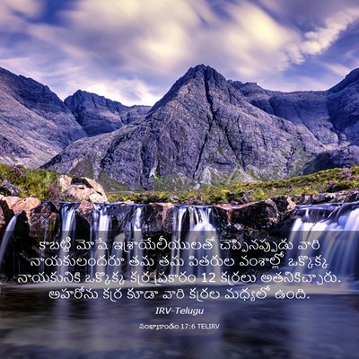 Picture 03 - సంఖ్యాకాండం 17:6 TELIRV - కాబట్టి మోషే - Bible Verse Picture
