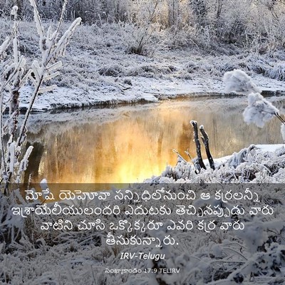 Picture 03 - సంఖ్యాకాండం 17:9 TELIRV - మోషే యెహోవా - Bible Verse Picture