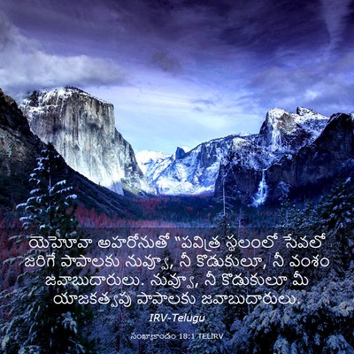 Picture 03 - సంఖ్యాకాండం 18:1 TELIRV - యెహోవా అహరోనుతో - Bible Verse Picture
