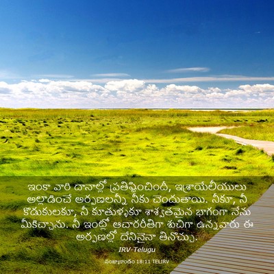 Picture 03 - సంఖ్యాకాండం 18:11 TELIRV - ఇంకా వారి - Bible Verse Picture