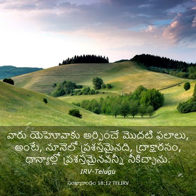 Picture 03 - సంఖ్యాకాండం 18:12 TELIRV - వారు యెహోవాకు - Bible Verse Picture