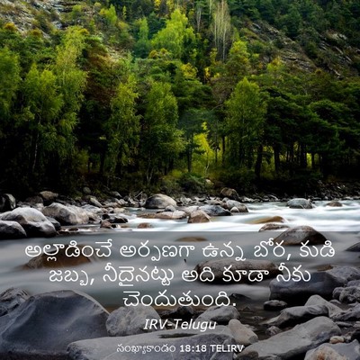 Picture 03 - సంఖ్యాకాండం 18:18 TELIRV - అల్లాడించే - Bible Verse Picture