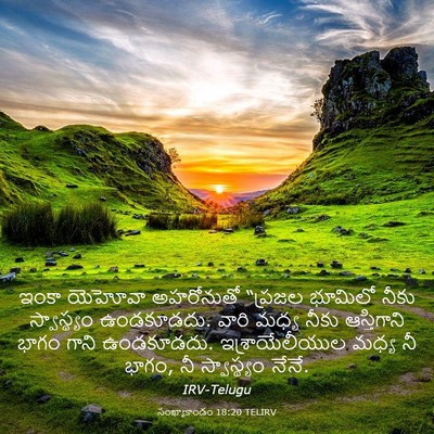 Picture 03 - సంఖ్యాకాండం 18:20 TELIRV - ఇంకా యెహోవా - Bible Verse Picture