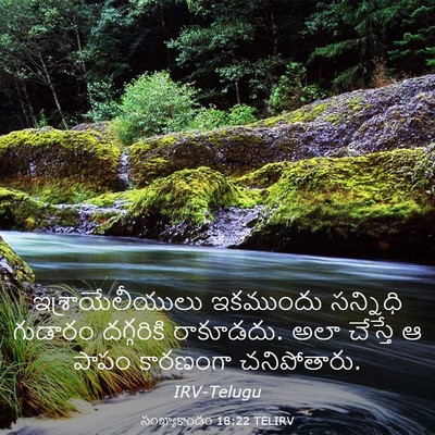 Picture 03 - సంఖ్యాకాండం 18:22 TELIRV - ఇశ్రాయేలీయులు - Bible Verse Picture