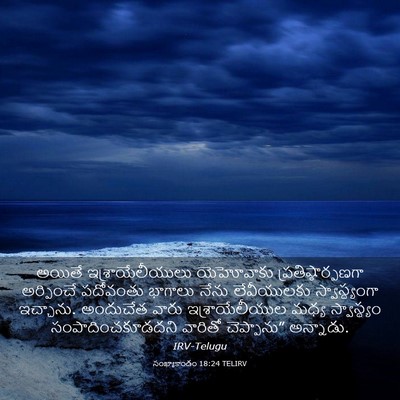 Picture 03 - సంఖ్యాకాండం 18:24 TELIRV - అయితే - Bible Verse Picture