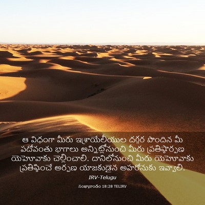 Picture 03 - సంఖ్యాకాండం 18:28 TELIRV - ఆ విధంగా మీరు - Bible Verse Picture