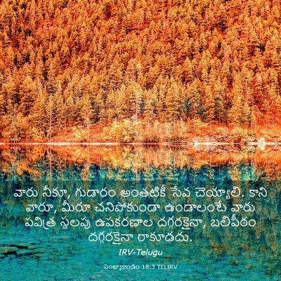 Picture 03 - సంఖ్యాకాండం 18:3 TELIRV - వారు నీకూ, గుడారం - Bible Verse Picture