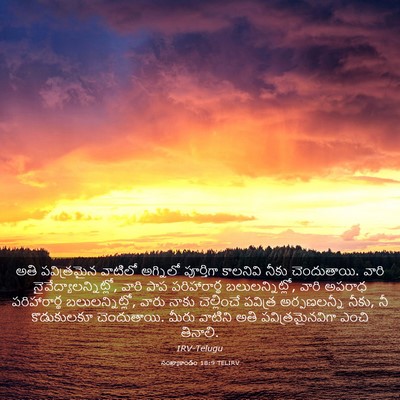 Picture 03 - సంఖ్యాకాండం 18:9 TELIRV - అతి పవిత్రమైన - Bible Verse Picture