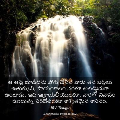 Picture 03 - సంఖ్యాకాండం 19:10 TELIRV - ఆ ఆవు బూడిదను పోగు - Bible Verse Picture