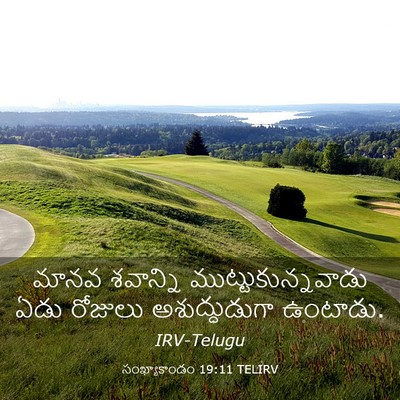 Picture 03 - సంఖ్యాకాండం 19:11 TELIRV - మానవ శవాన్ని - Bible Verse Picture