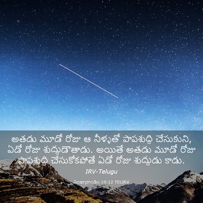 Picture 03 - సంఖ్యాకాండం 19:12 TELIRV - అతడు మూడో రోజు ఆ - Bible Verse Picture