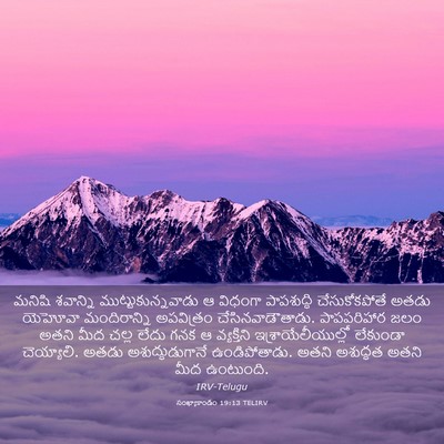 Picture 03 - సంఖ్యాకాండం 19:13 TELIRV - మనిషి శవాన్ని - Bible Verse Picture