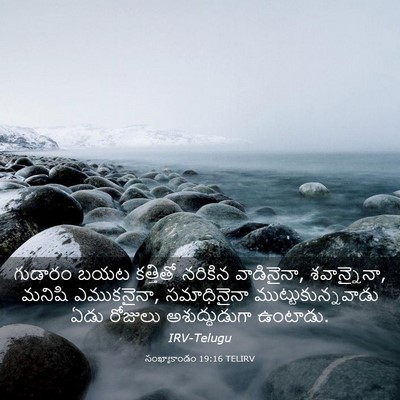 Picture 03 - సంఖ్యాకాండం 19:16 TELIRV - గుడారం బయట - Bible Verse Picture