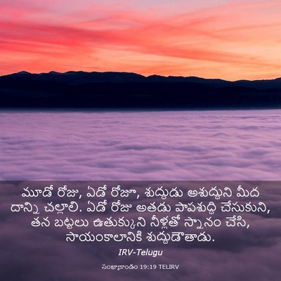 Picture 03 - సంఖ్యాకాండం 19:19 TELIRV - మూడో రోజు, ఏడో - Bible Verse Picture