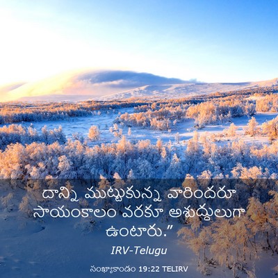 Picture 03 - సంఖ్యాకాండం 19:22 TELIRV - దాన్ని - Bible Verse Picture