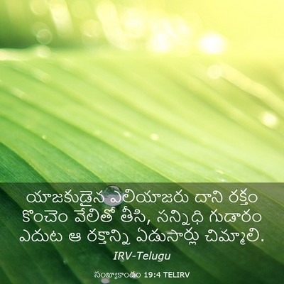 Picture 03 - సంఖ్యాకాండం 19:4 TELIRV - యాజకుడైన ఎలియాజరు - Bible Verse Picture