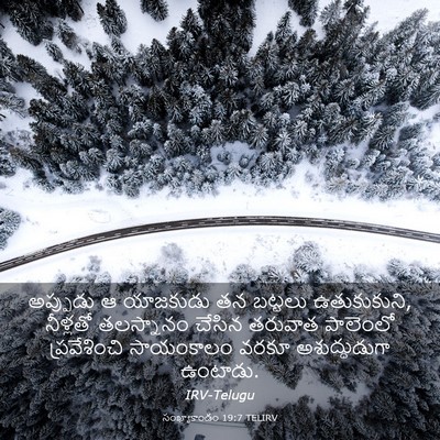 Picture 03 - సంఖ్యాకాండం 19:7 TELIRV - అప్పుడు ఆ యాజకుడు - Bible Verse Picture