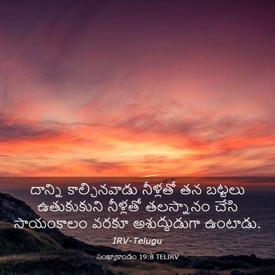 Picture 03 - సంఖ్యాకాండం 19:8 TELIRV - దాన్ని - Bible Verse Picture