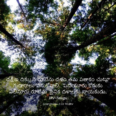 Picture 03 - సంఖ్యాకాండం 2:10 TELIRV - దక్షిణ దిక్కున - Bible Verse Picture