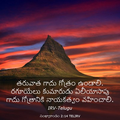 Picture 03 - సంఖ్యాకాండం 2:14 TELIRV - తరువాత గాదు - Bible Verse Picture