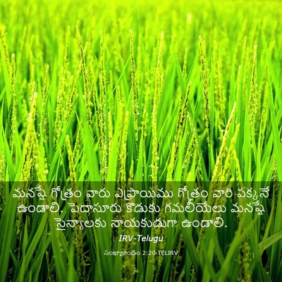 Picture 03 - సంఖ్యాకాండం 2:20 TELIRV - మనష్షే గోత్రం - Bible Verse Picture