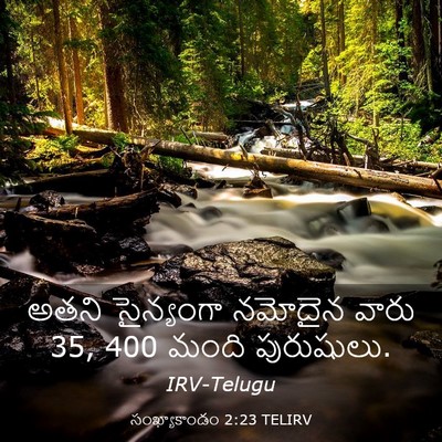 Picture 03 - సంఖ్యాకాండం 2:23 TELIRV - అతని సైన్యంగా - Bible Verse Picture