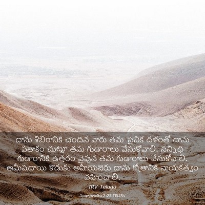 Picture 03 - సంఖ్యాకాండం 2:25 TELIRV - దాను శిబిరానికి - Bible Verse Picture