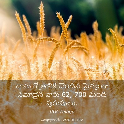 Picture 03 - సంఖ్యాకాండం 2:26 TELIRV - దాను గోత్రానికి - Bible Verse Picture