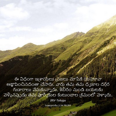 Picture 03 - సంఖ్యాకాండం 2:34 TELIRV - ఈ విధంగా - Bible Verse Picture