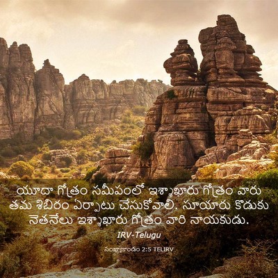 Picture 03 - సంఖ్యాకాండం 2:5 TELIRV - యూదా గోత్రం - Bible Verse Picture