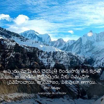 Picture 03 - సంఖ్యాకాండం 20:11 TELIRV - అప్పుడు మోషే తన - Bible Verse Picture