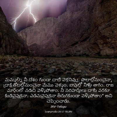 Picture 03 - సంఖ్యాకాండం 20:17 TELIRV - మమ్మల్ని నీ దేశం - Bible Verse Picture