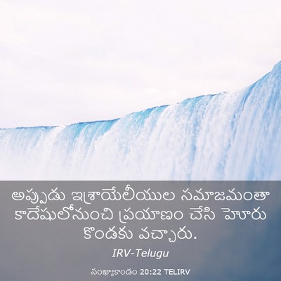 Picture 03 - సంఖ్యాకాండం 20:22 TELIRV - అప్పుడు - Bible Verse Picture