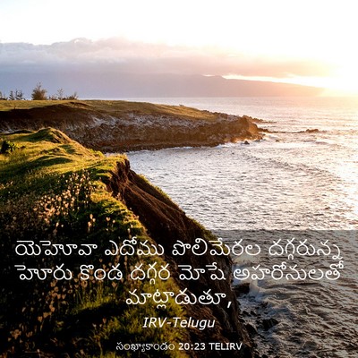 Picture 03 - సంఖ్యాకాండం 20:23 TELIRV - యెహోవా ఎదోము - Bible Verse Picture