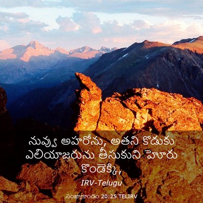Picture 03 - సంఖ్యాకాండం 20:25 TELIRV - నువ్వు అహరోను, - Bible Verse Picture