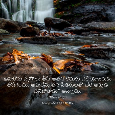Picture 03 - సంఖ్యాకాండం 20:26 TELIRV - అహరోను వస్త్రాలు - Bible Verse Picture