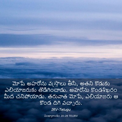 Picture 03 - సంఖ్యాకాండం 20:28 TELIRV - మోషే అహరోను - Bible Verse Picture