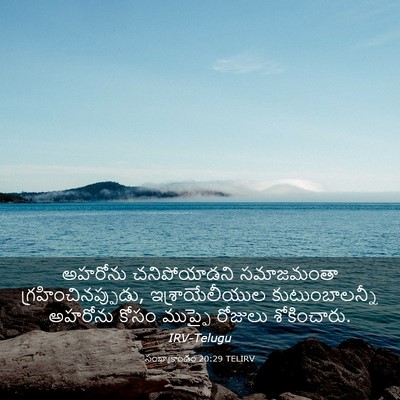 Picture 03 - సంఖ్యాకాండం 20:29 TELIRV - అహరోను చనిపోయాడని - Bible Verse Picture