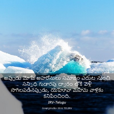 Picture 03 - సంఖ్యాకాండం 20:6 TELIRV - అప్పుడు మోషే - Bible Verse Picture