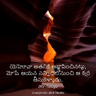 Picture 03 - సంఖ్యాకాండం 20:9 TELIRV - యెహోవా అతనికి - Bible Verse Picture