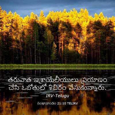 Picture 03 - సంఖ్యాకాండం 21:10 TELIRV - తరువాత - Bible Verse Picture